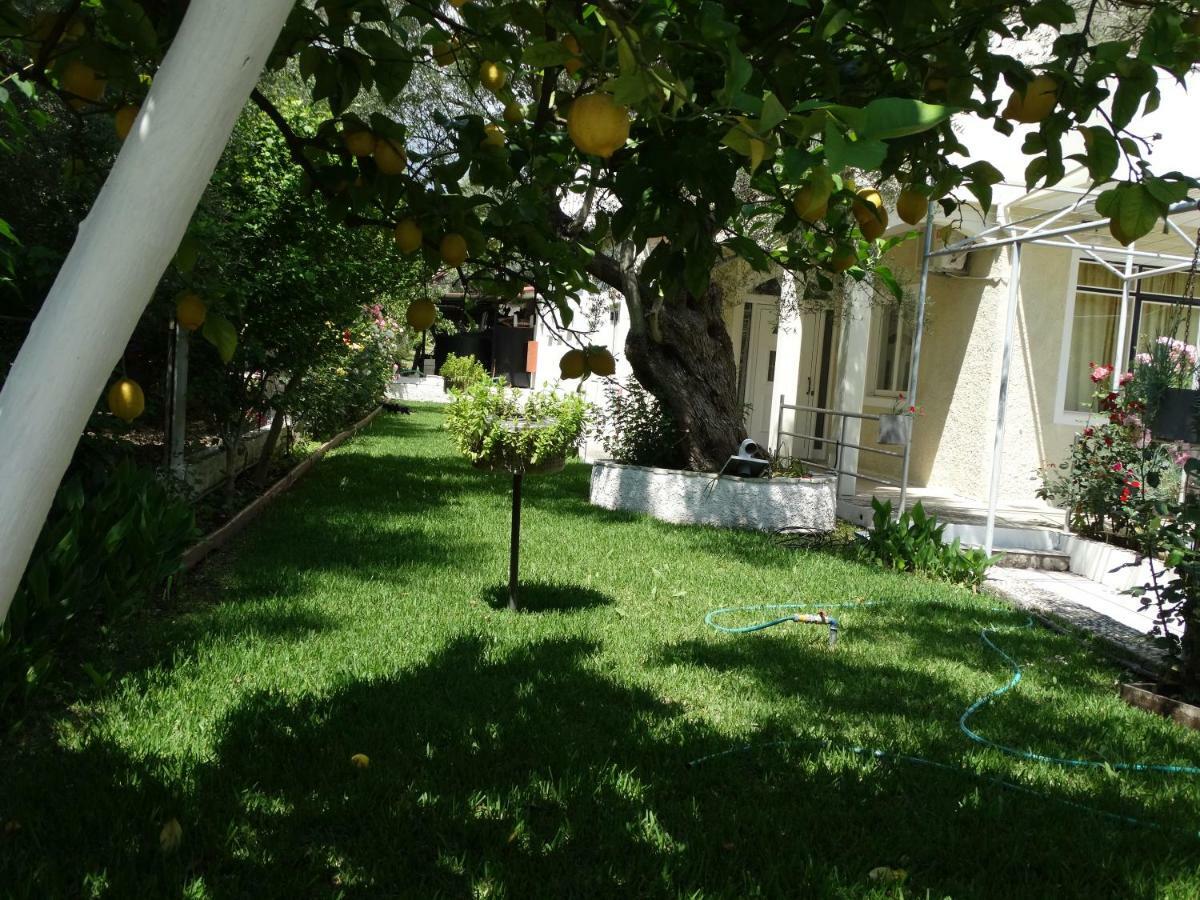 Margarita Apartments Nikiana Extérieur photo
